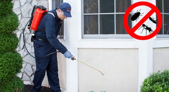 Gölhisar Böcek İlaçlama böcek ilaçlama ve haşere kontrolü — ilaclama-tr.com